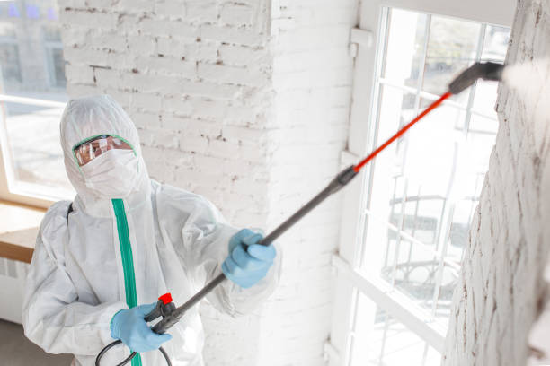 Best Basement Mold Removal  in Mulberry, NC