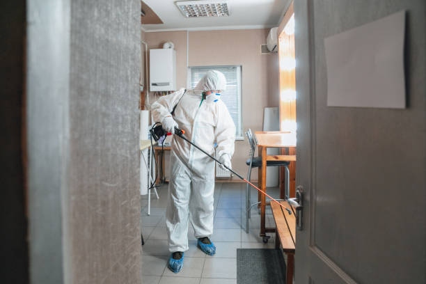 Best Water Damage & Mold Remediation  in Mulberry, NC