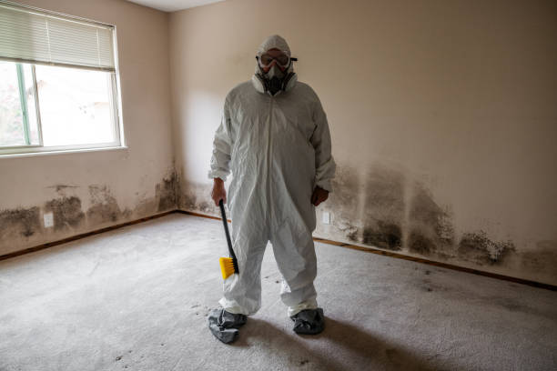 Best Residential Mold Inspection & Testing  in Mulberry, NC